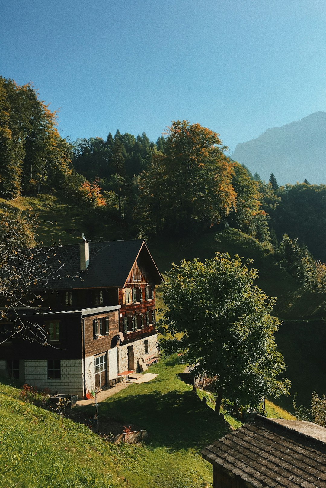 Contemporary Swiss Design