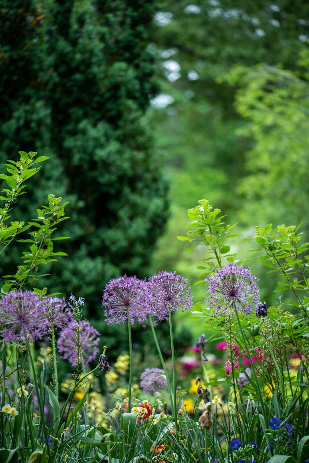 Garden Maintenance